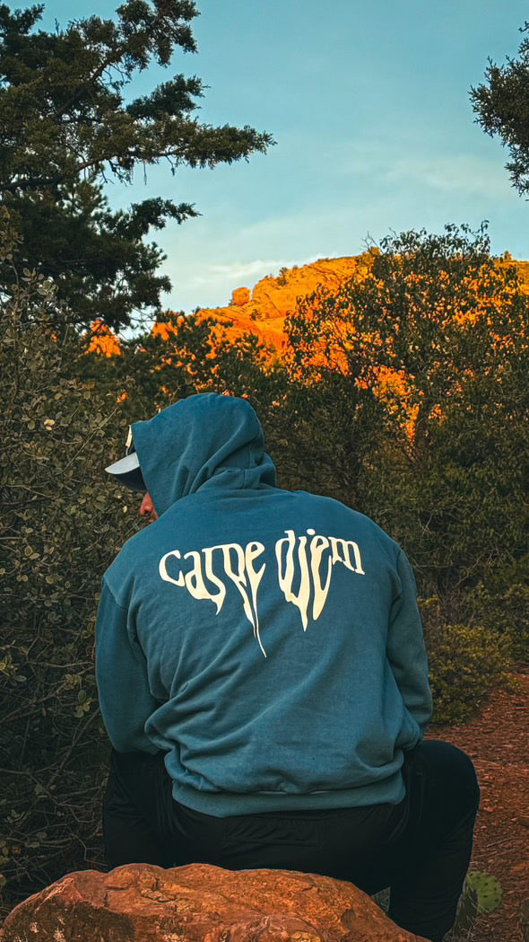 CHVPTER 01-1 "The power of the bee"